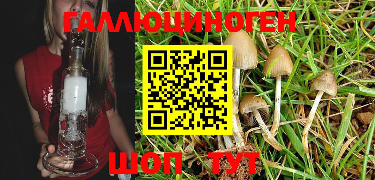 Петропавловск-Камчатский  Псилоцибиновые грибы MAGIC MUSHROOMS  Псилоцибиновые грибы MAGIC MUSHROOMS  Вход с VPN 